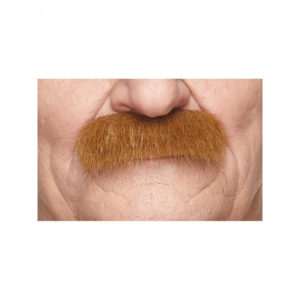 Accessoires de fête, moustache, brosse, rousse