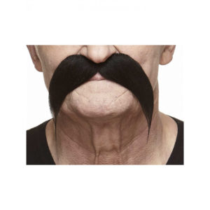 Accessoires de fêtes, moustaches, gauloise, noire