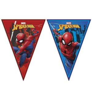 Anniversaire enfant, Spiderman, Fanion