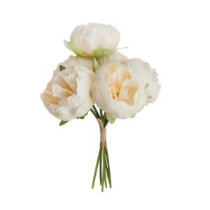 Occasions spéciales, mariage, décoration florale, pivoine blanche
